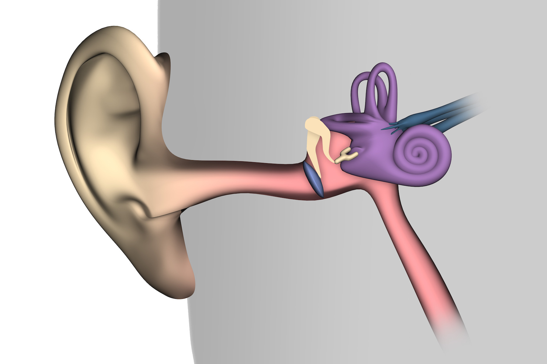 Эндоскопия слуховой трубы. Катетеризация евстахиевой трубы. Евстахиева труба эндоскопия. Слуховые трубочки